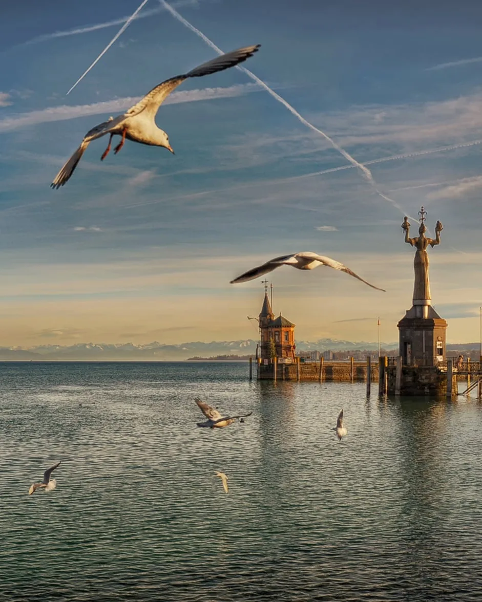 Hafen am Bodensee mit Möwen und Ausflugsschiff